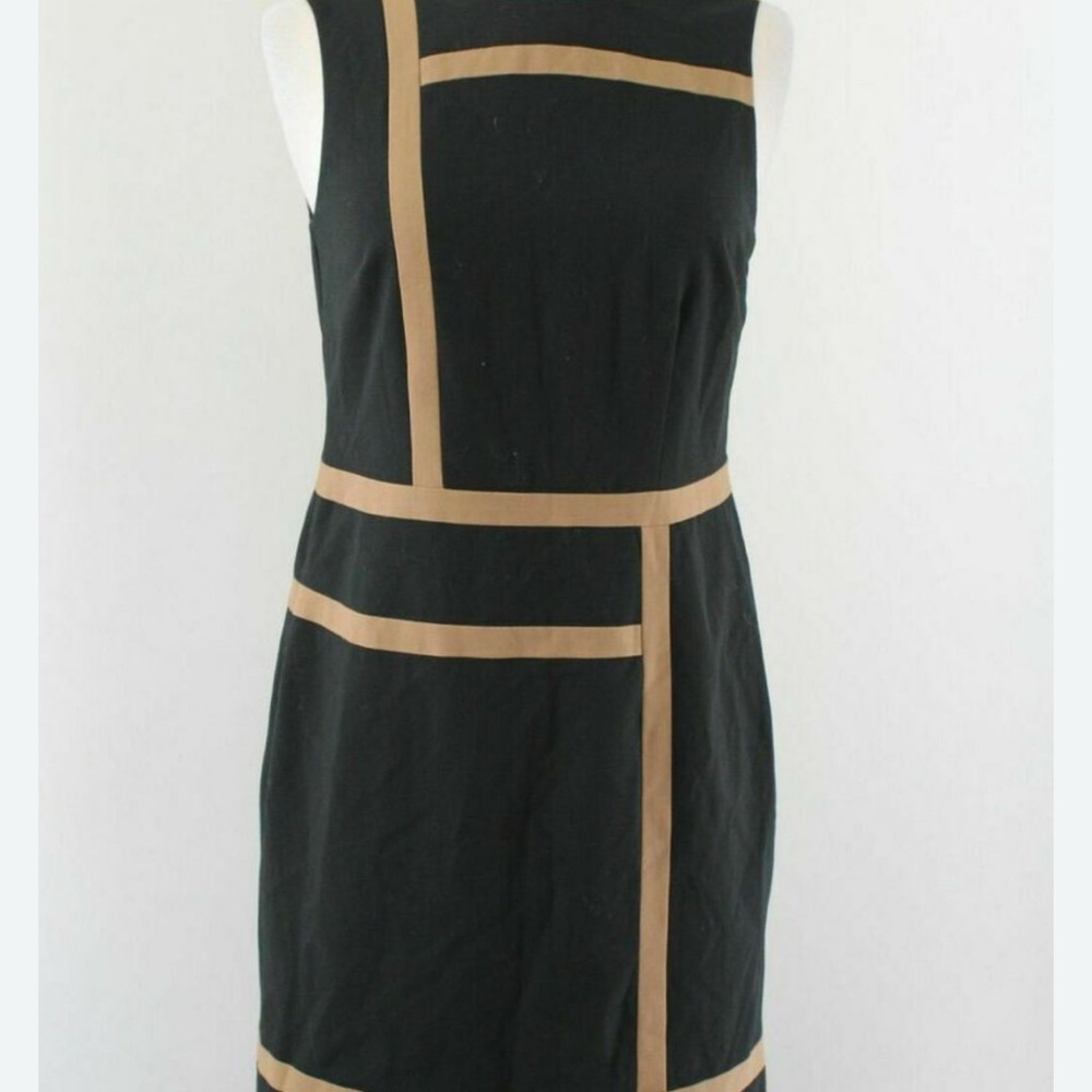 Elegant Black and Tan Dress